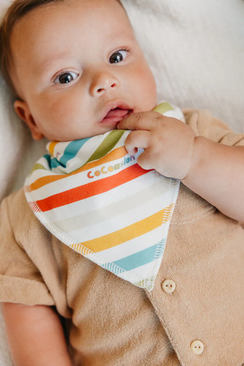 Copper Pearl CoComelon Friends Bandana Bib Set 4-Pack Feeding