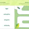 Backyard Bug Book for Kids made by