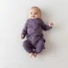 Pant in Currant